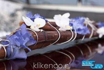 Vivante 50 CC_Klikenco_010