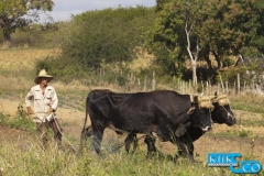 klikenco_cuba_2012_20