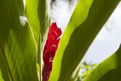 klikenco_cuba_2012_23