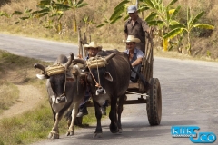 klikenco_cuba_2012_25