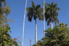 klikenco_cuba_2012_37