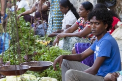 2014-Sri-Lanka-Zo-156-1