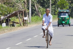 2014-Sri-Lanka-Zo-264-1
