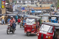 2014-Sri-Lanka-Zo-330-1