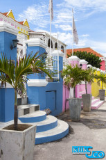 2015 Curacao 244